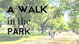 walk in the park