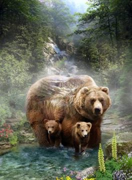 grizzly-bears