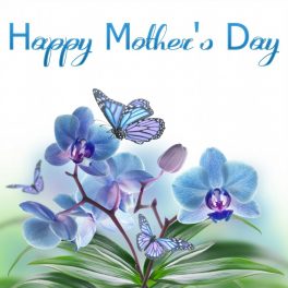 happy-mothers-day-on-spring-flowers-card