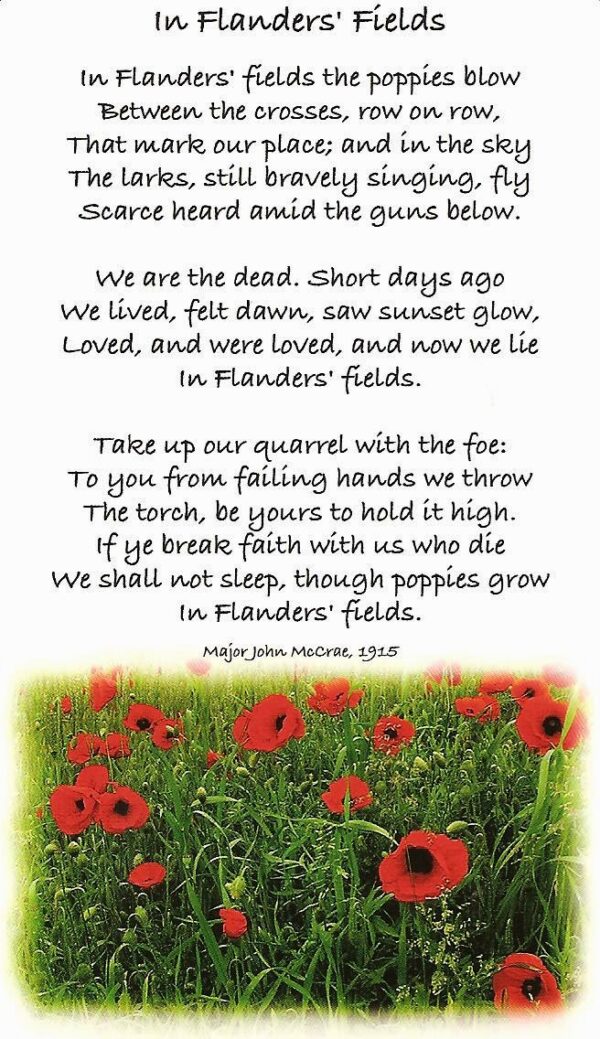 in-flanders-fields